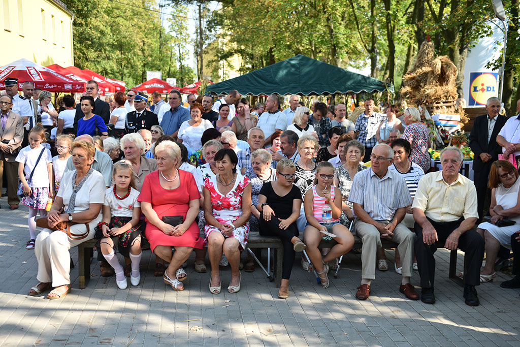 Mieszkańcy gminy Legnickie Pole bawili się na świecie plonów