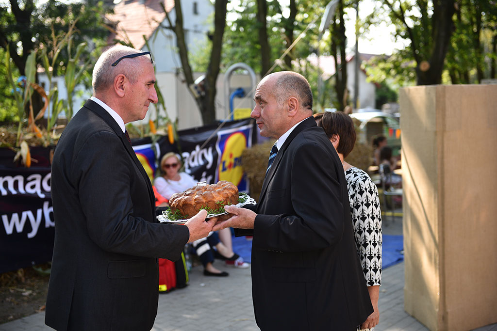 Mieszkańcy gminy Legnickie Pole bawili się na świecie plonów