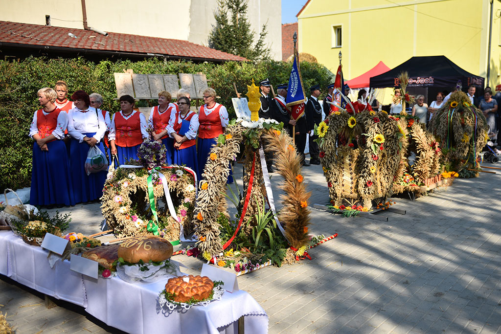 Mieszkańcy gminy Legnickie Pole bawili się na świecie plonów