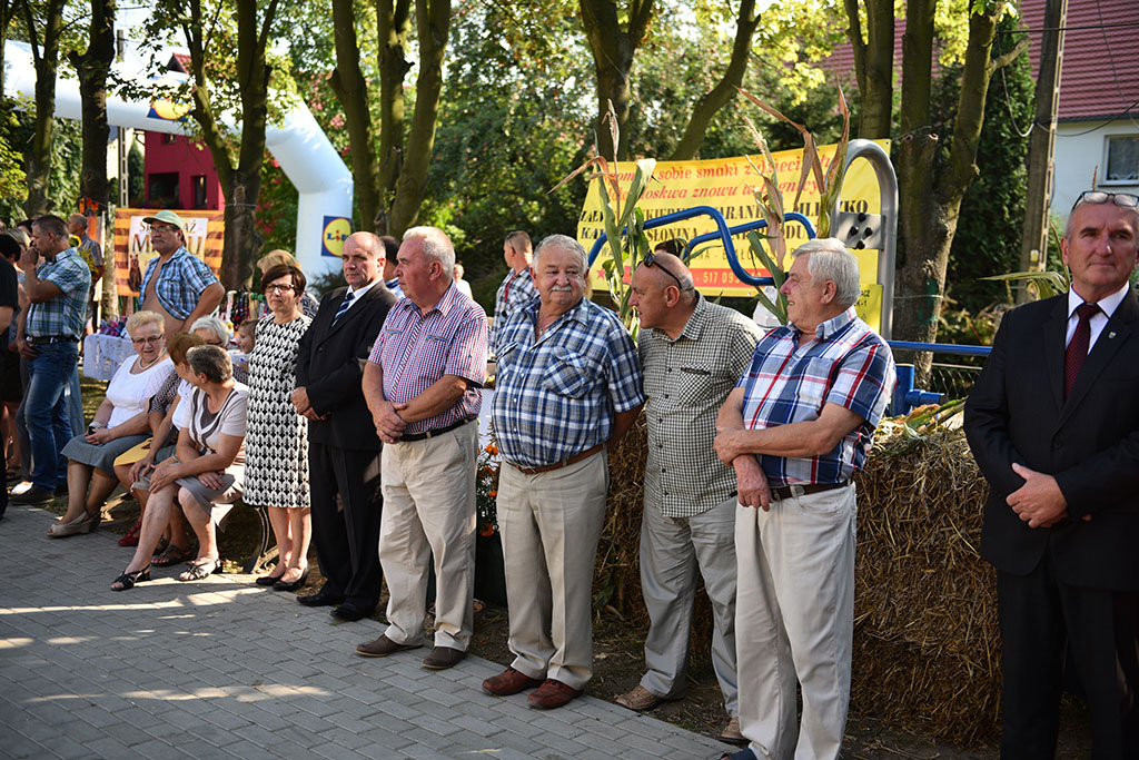 Mieszkańcy gminy Legnickie Pole bawili się na świecie plonów