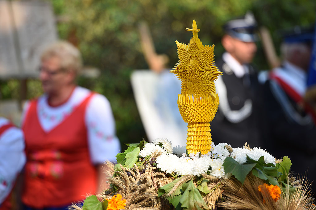 Mieszkańcy gminy Legnickie Pole bawili się na świecie plonów