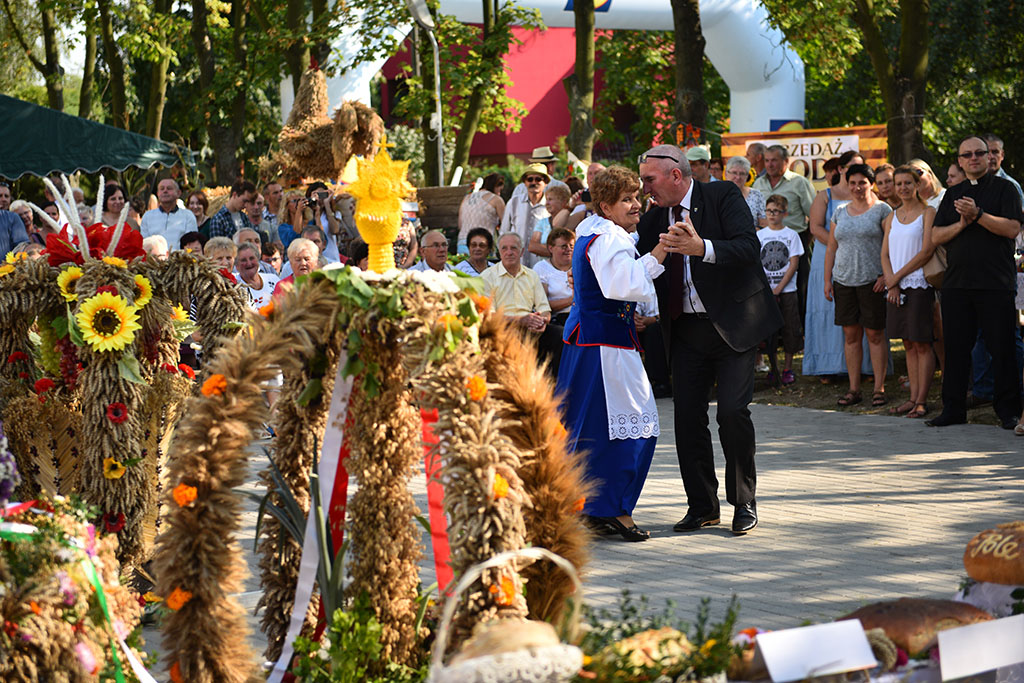 Mieszkańcy gminy Legnickie Pole bawili się na świecie plonów