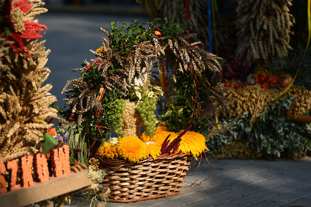 Mieszkańcy gminy Legnickie Pole bawili się na świecie plonów