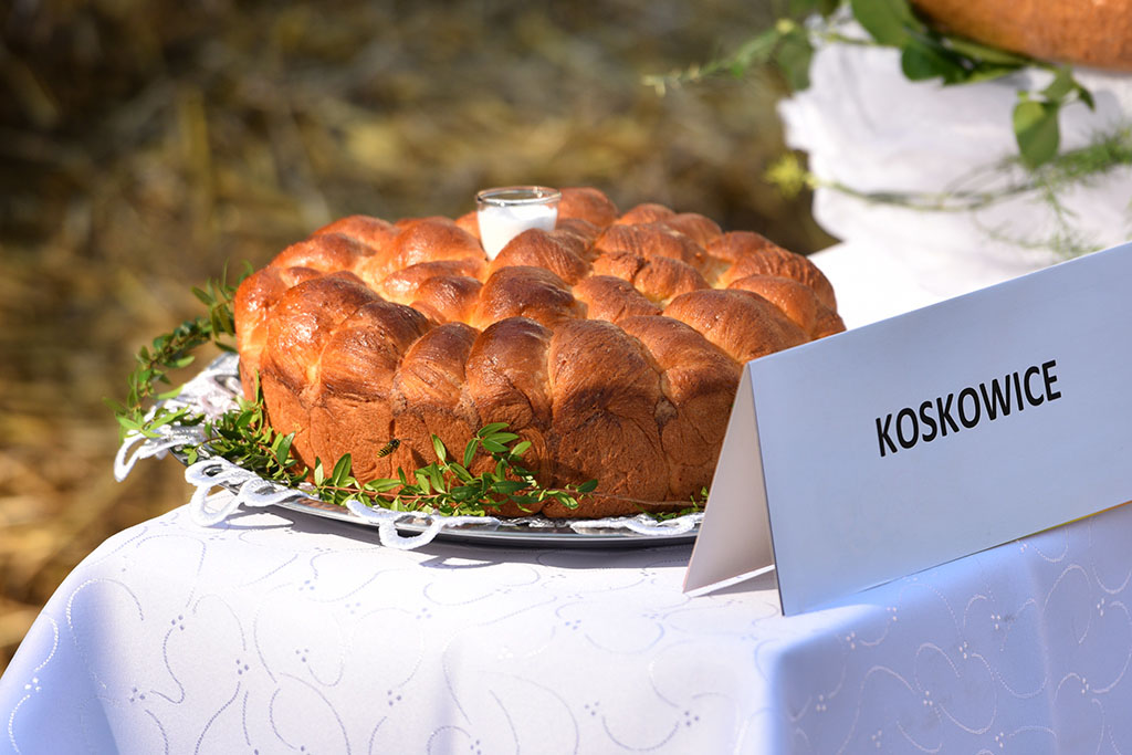 Mieszkańcy gminy Legnickie Pole bawili się na świecie plonów