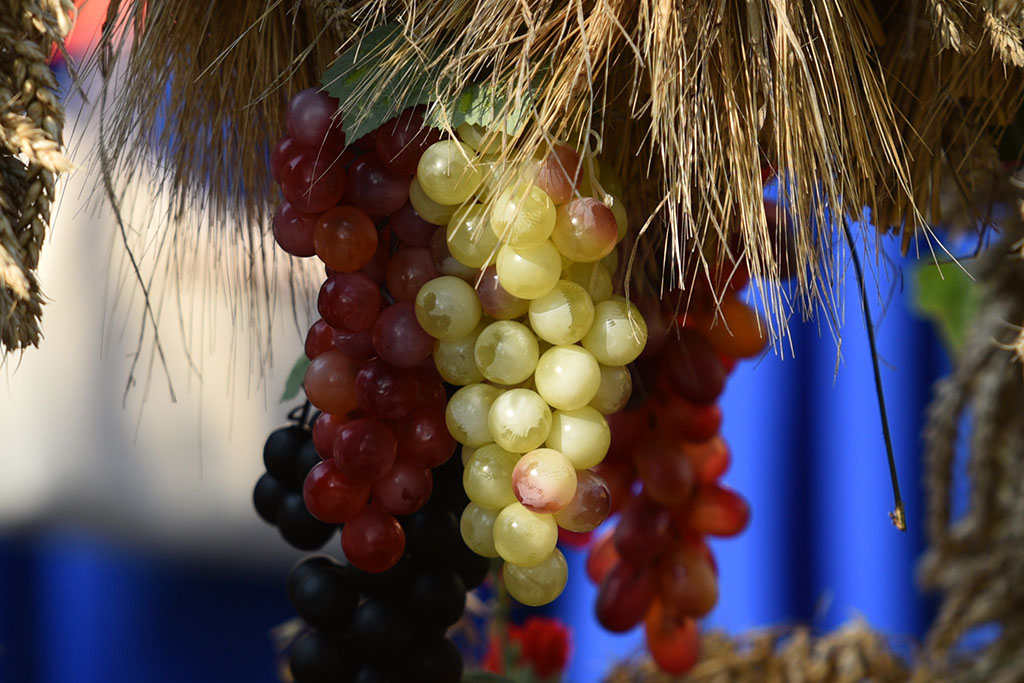 Mieszkańcy gminy Legnickie Pole bawili się na świecie plonów