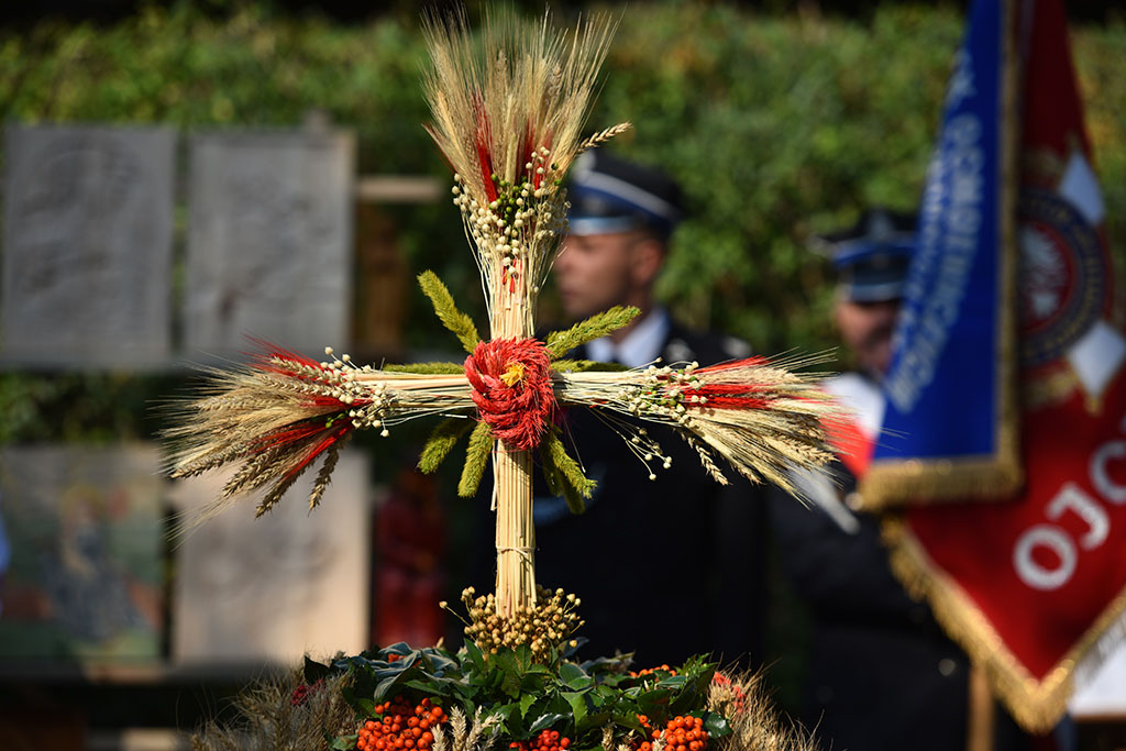 Mieszkańcy gminy Legnickie Pole bawili się na świecie plonów