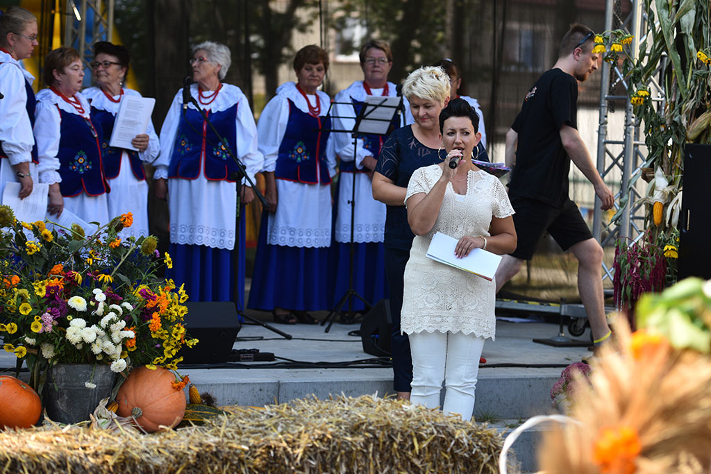 Mieszkańcy gminy Legnickie Pole bawili się na świecie plonów