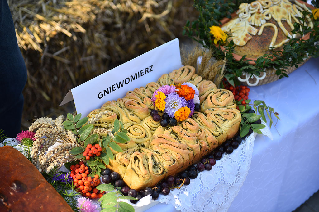 Mieszkańcy gminy Legnickie Pole bawili się na świecie plonów