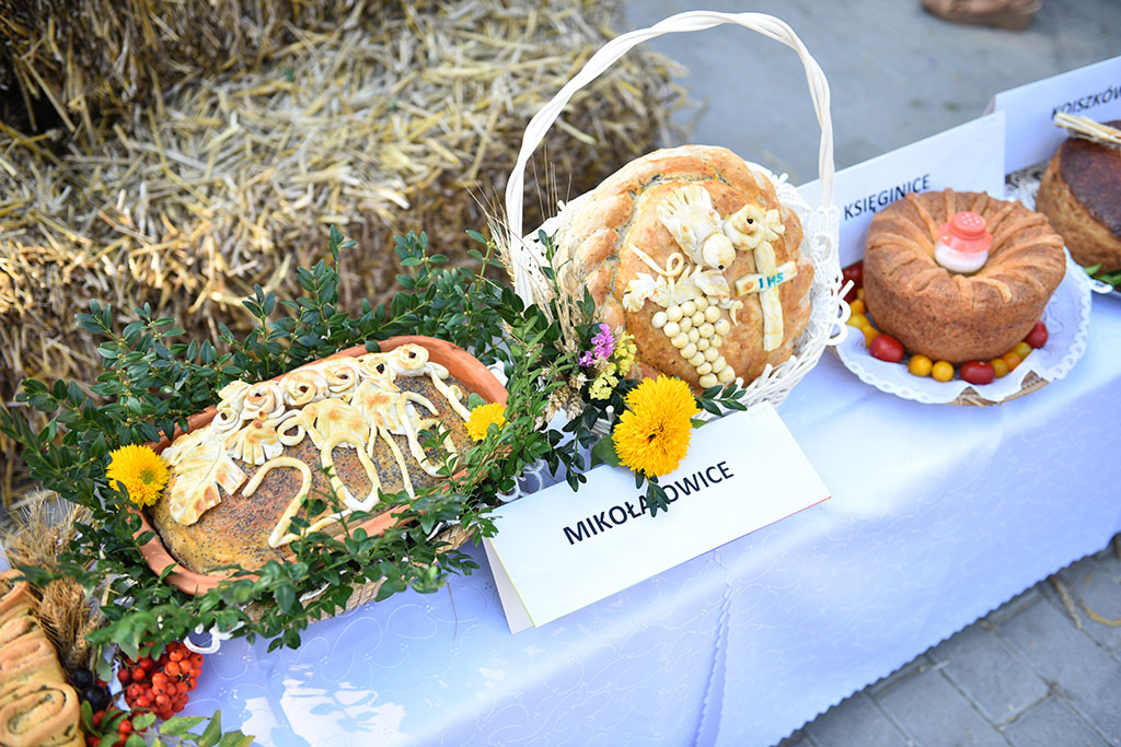 Mieszkańcy gminy Legnickie Pole bawili się na świecie plonów
