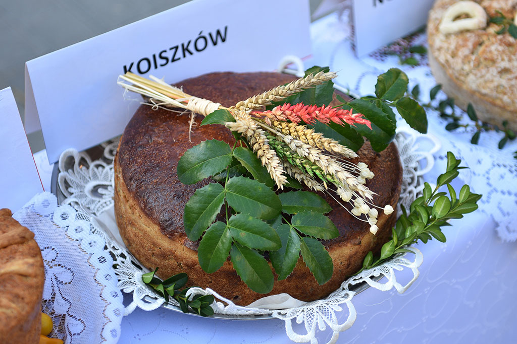 Mieszkańcy gminy Legnickie Pole bawili się na świecie plonów