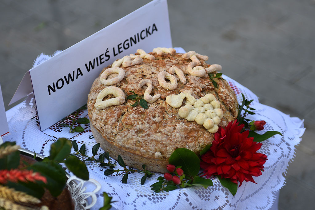 Mieszkańcy gminy Legnickie Pole bawili się na świecie plonów