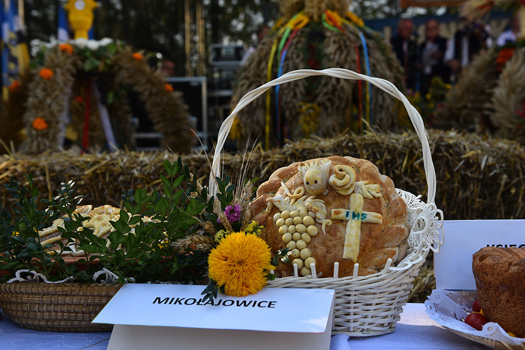 Mieszkańcy gminy Legnickie Pole bawili się na świecie plonów