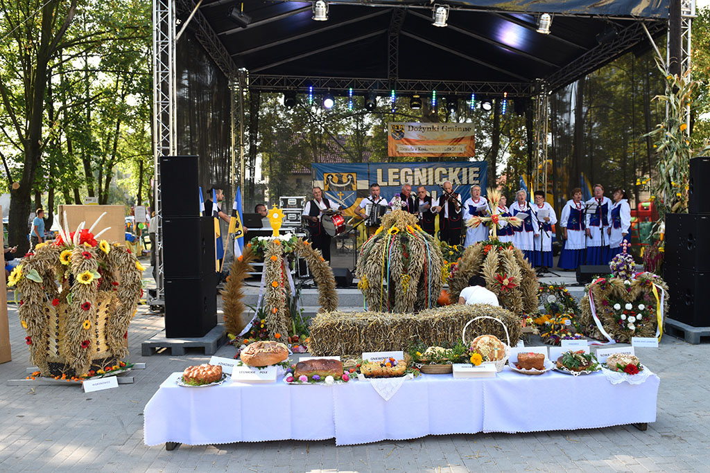 Mieszkańcy gminy Legnickie Pole bawili się na świecie plonów