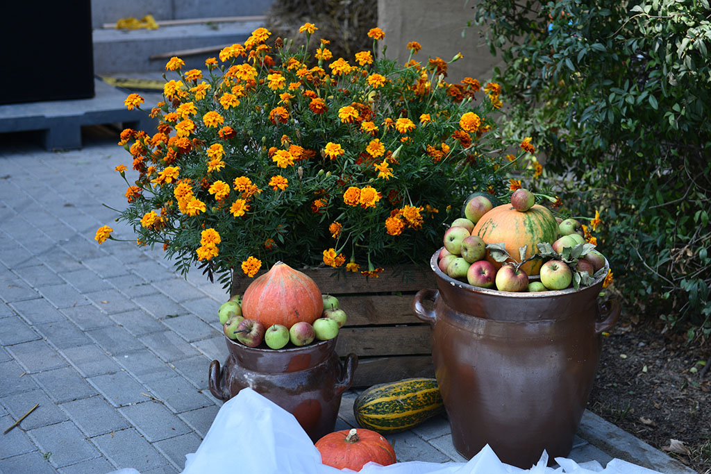 Mieszkańcy gminy Legnickie Pole bawili się na świecie plonów