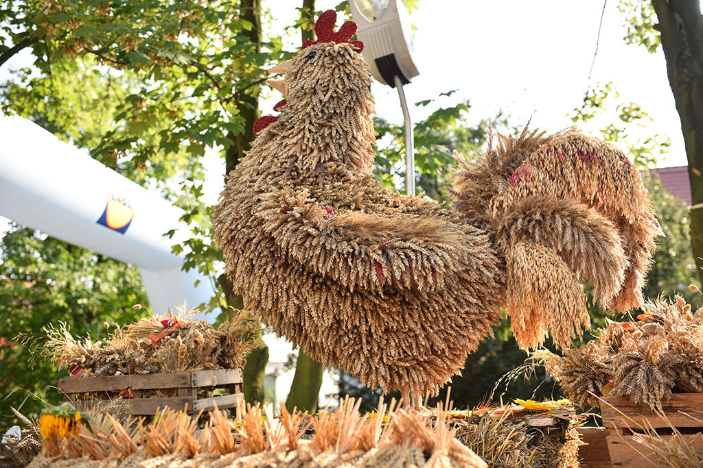 Mieszkańcy gminy Legnickie Pole bawili się na świecie plonów