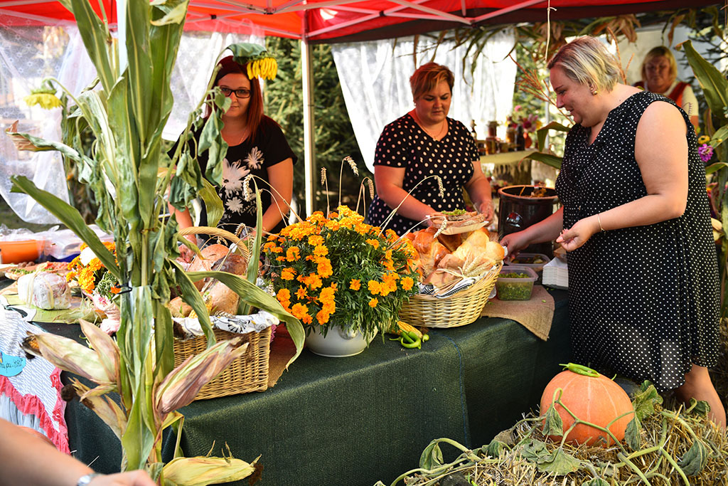 Mieszkańcy gminy Legnickie Pole bawili się na świecie plonów