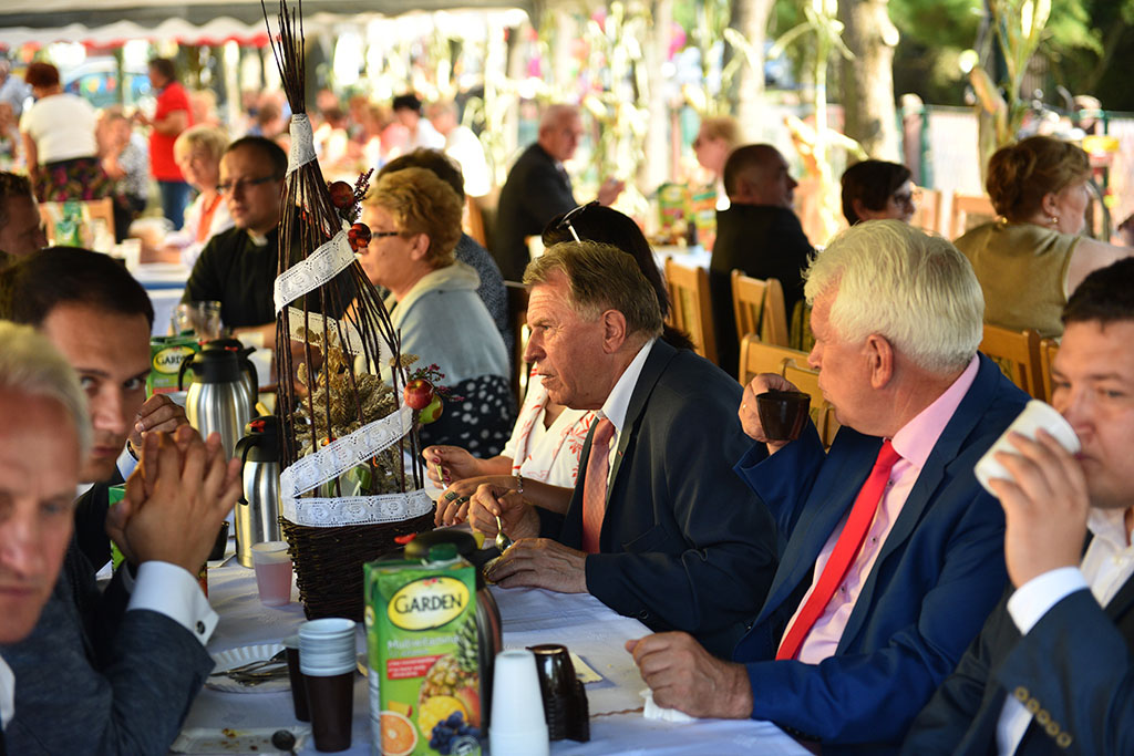 Mieszkańcy gminy Legnickie Pole bawili się na świecie plonów