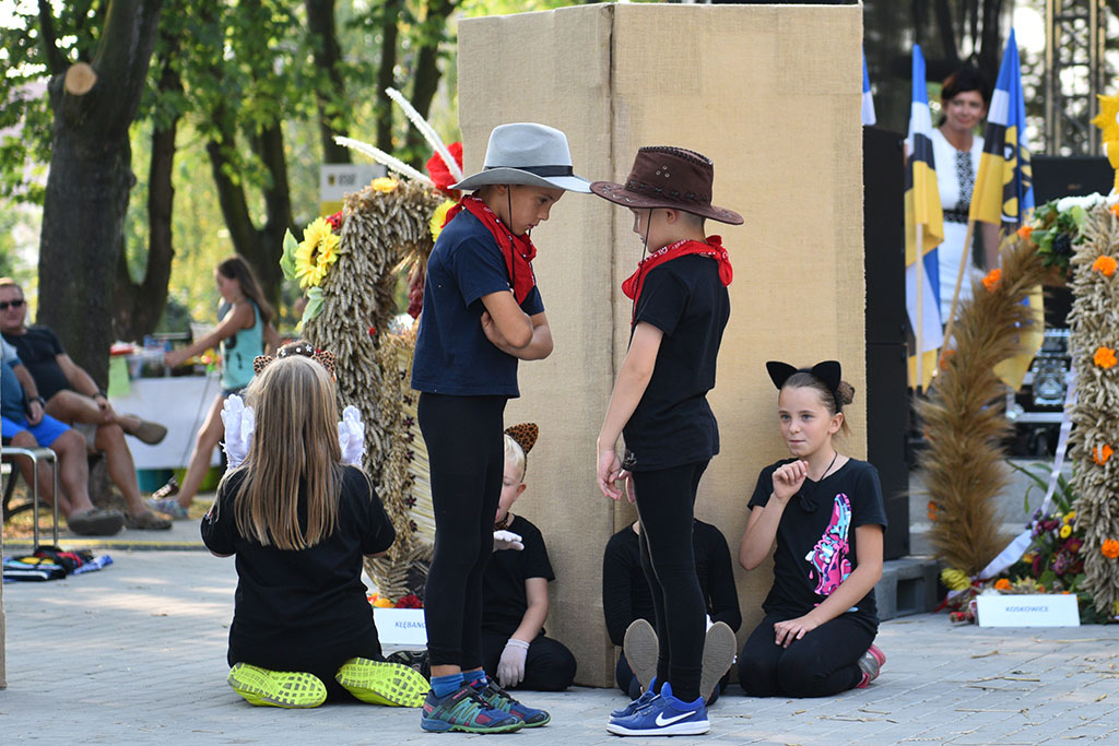 Mieszkańcy gminy Legnickie Pole bawili się na świecie plonów