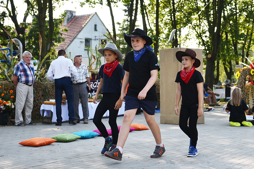 Mieszkańcy gminy Legnickie Pole bawili się na świecie plonów