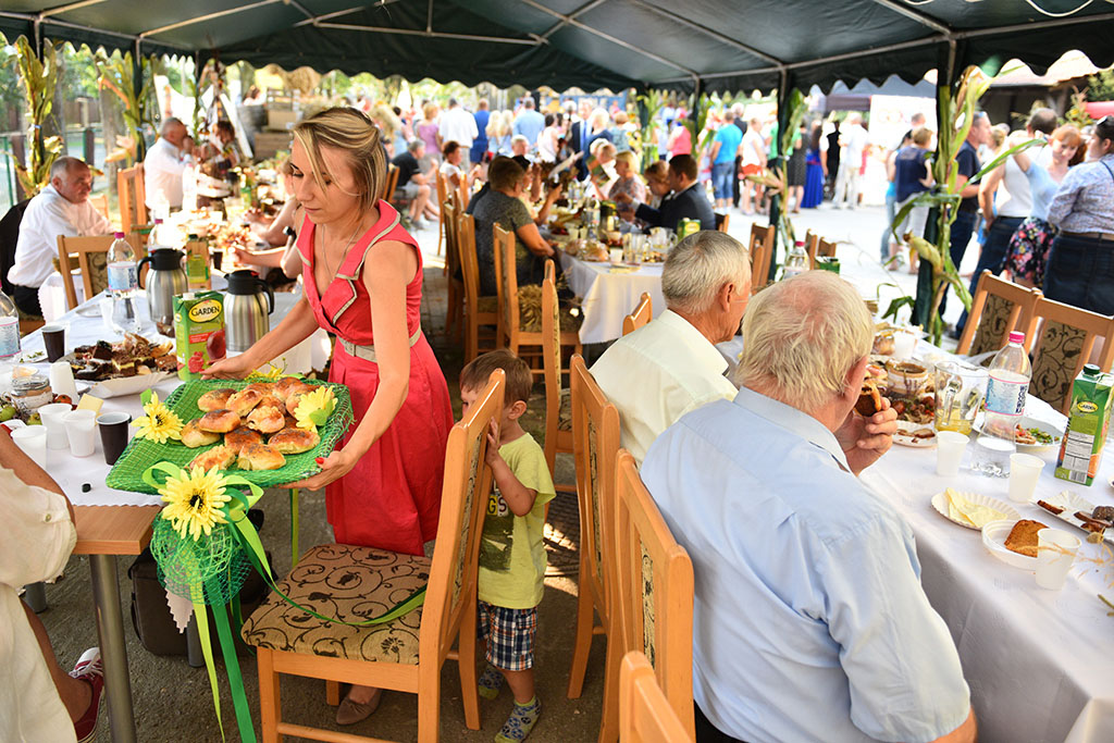 Mieszkańcy gminy Legnickie Pole bawili się na świecie plonów