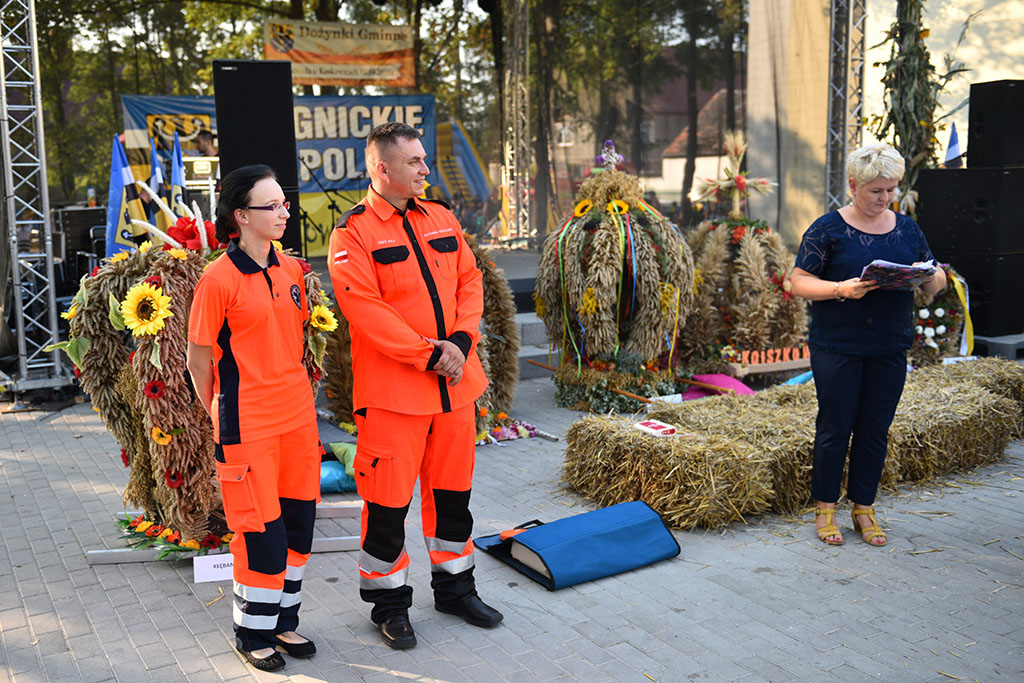 Mieszkańcy gminy Legnickie Pole bawili się na świecie plonów