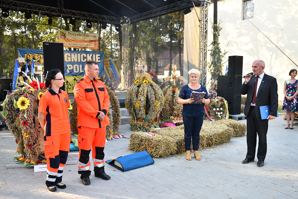 Mieszkańcy gminy Legnickie Pole bawili się na świecie plonów