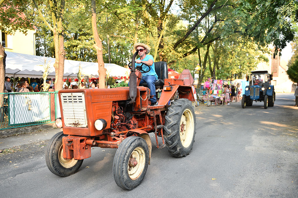 Mieszkańcy gminy Legnickie Pole bawili się na świecie plonów