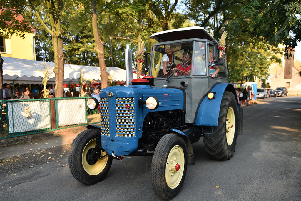 Mieszkańcy gminy Legnickie Pole bawili się na świecie plonów