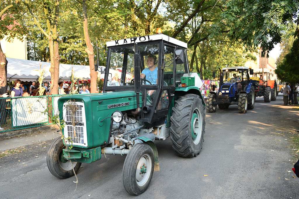 Mieszkańcy gminy Legnickie Pole bawili się na świecie plonów
