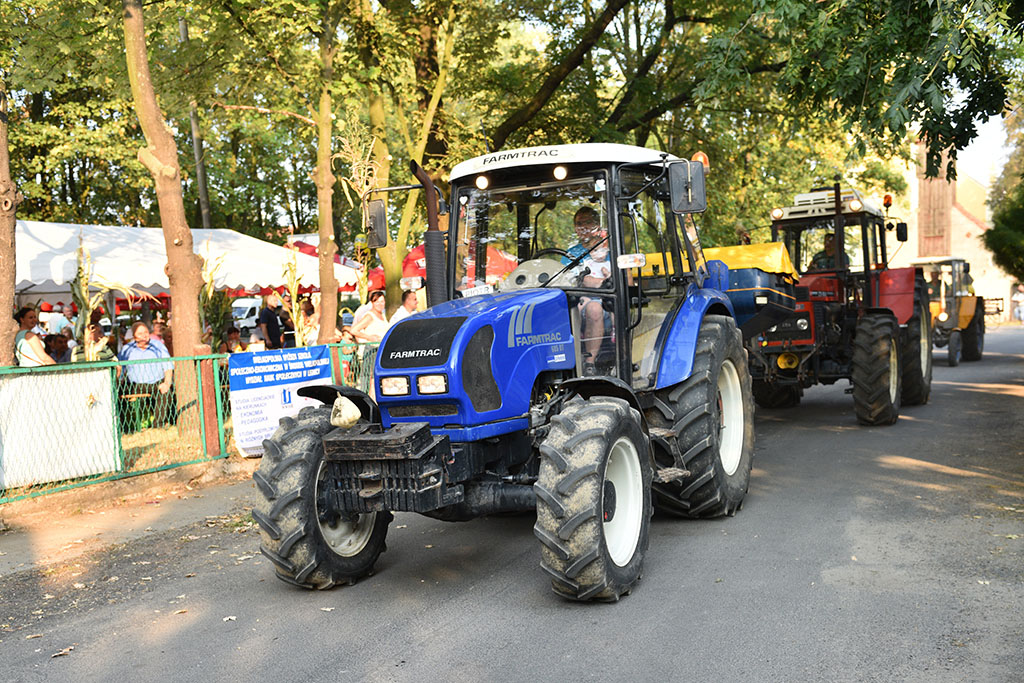 Mieszkańcy gminy Legnickie Pole bawili się na świecie plonów