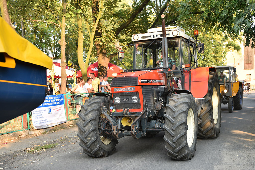 Mieszkańcy gminy Legnickie Pole bawili się na świecie plonów