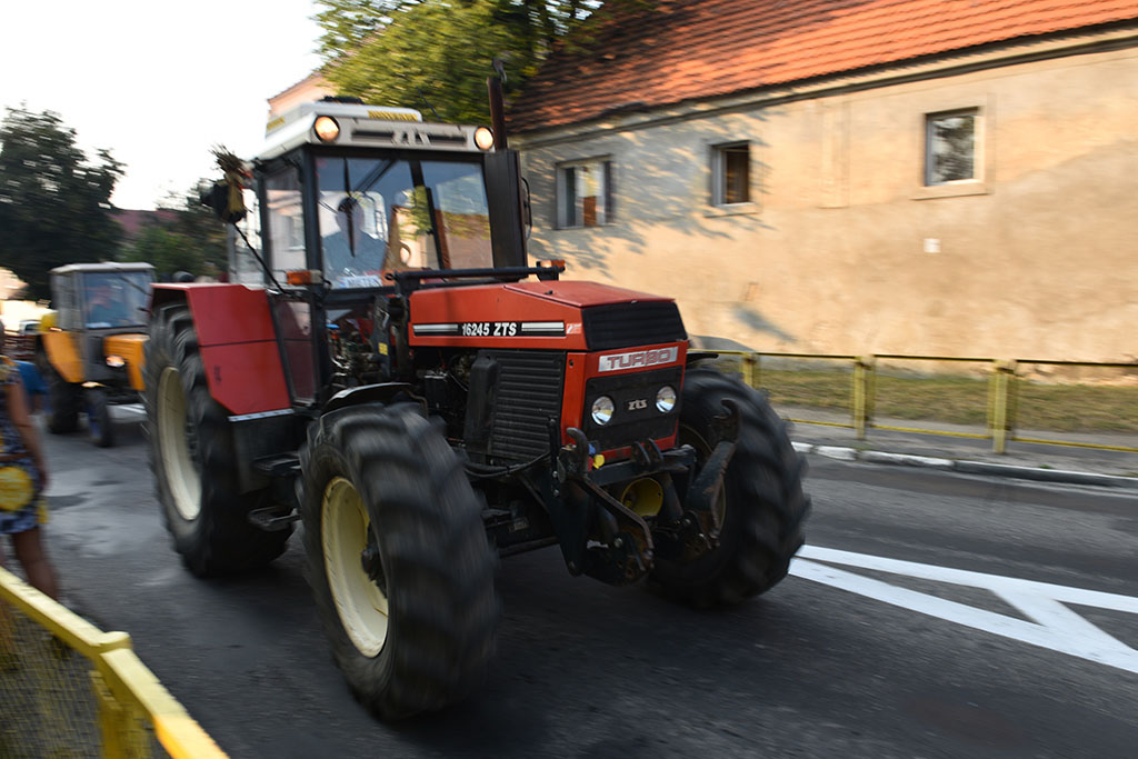 Mieszkańcy gminy Legnickie Pole bawili się na świecie plonów