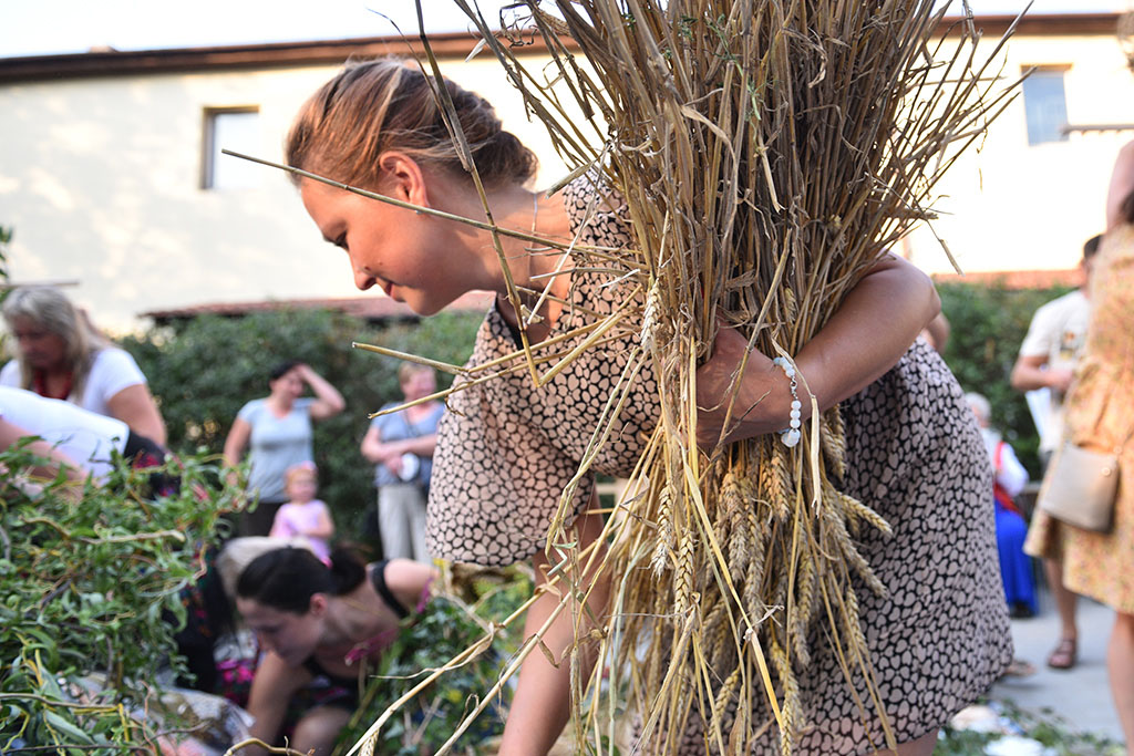Mieszkańcy gminy Legnickie Pole bawili się na świecie plonów
