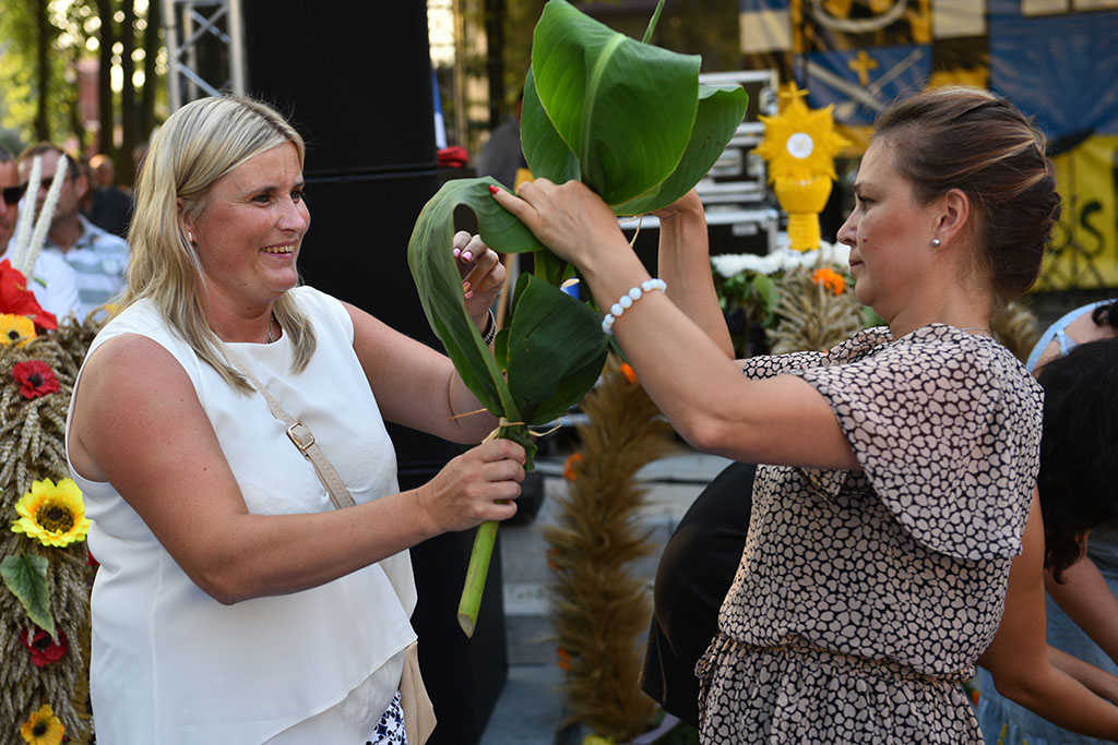 Mieszkańcy gminy Legnickie Pole bawili się na świecie plonów
