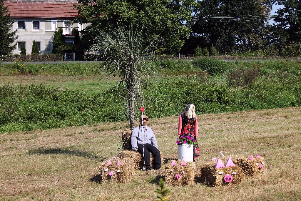 Mieszkańcy gminy Chojnów świętowali na dożynkach gminnych