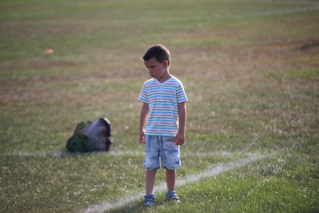 Dożynkowe warsztaty i treningi pokazowe w Janowicach Dużych