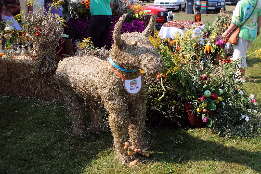 Mieszkańcy gminy Chojnów świętowali na dożynkach gminnych