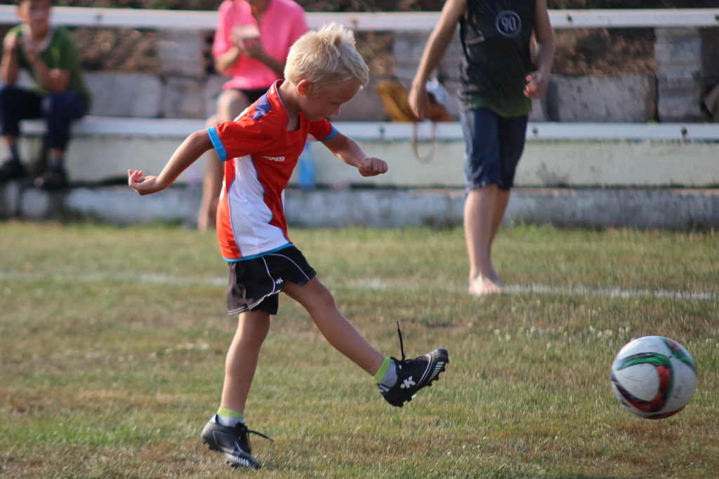 Dożynkowe warsztaty i treningi pokazowe w Janowicach Dużych