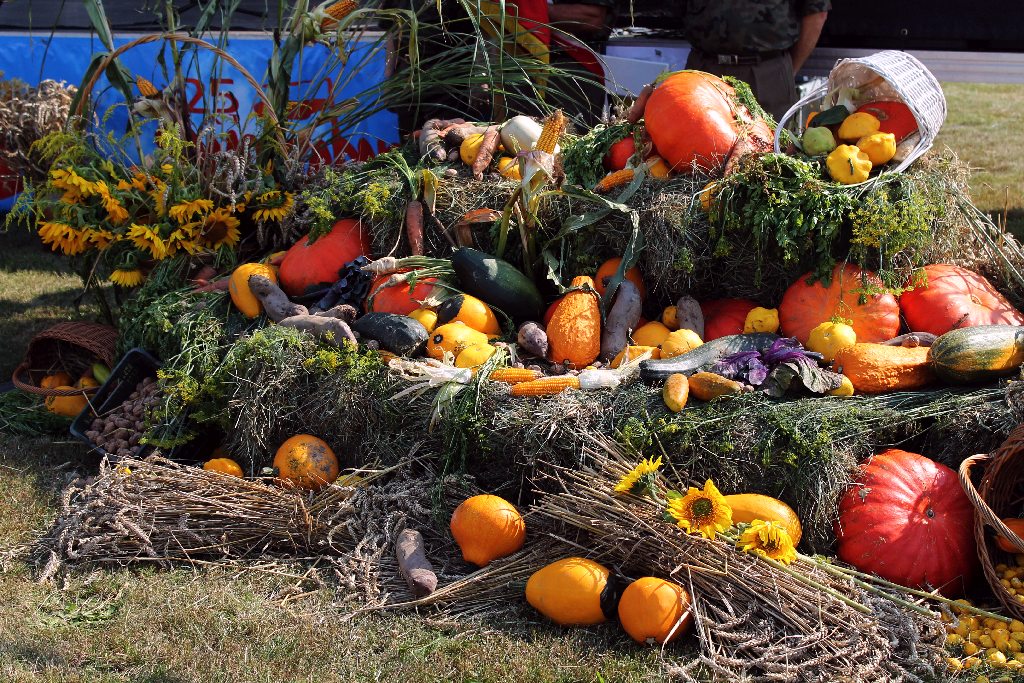 Mieszkańcy gminy Chojnów świętowali na dożynkach gminnych