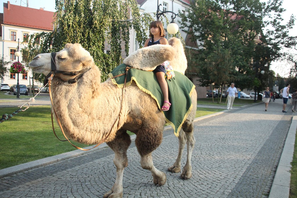 Tłum legniczan bawił się na sobotnich imieninach ulicy NMP