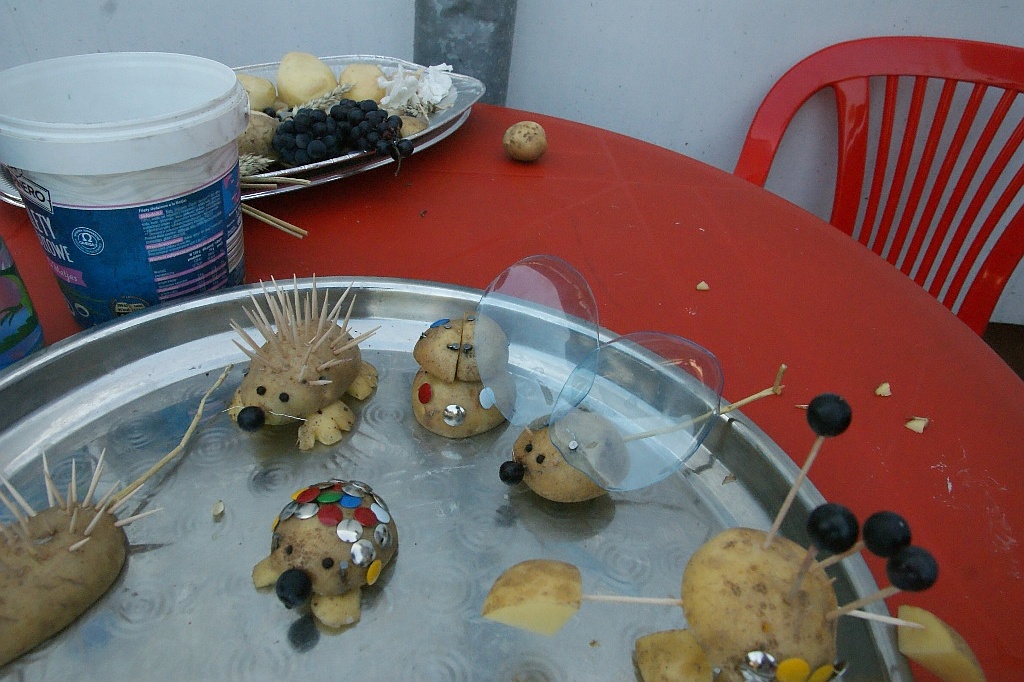 W Szczytnikach Małych mieszkańcy bawili się na święcie ziemniaka