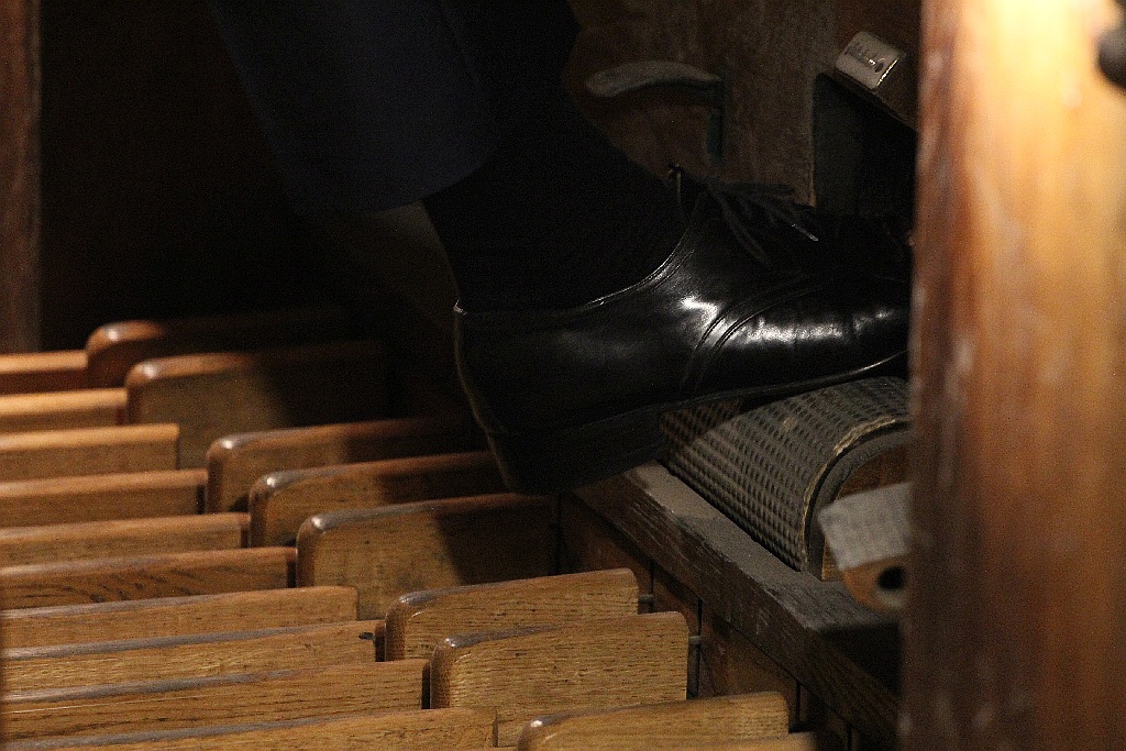 Legnickie Conversatorium Organowe: 