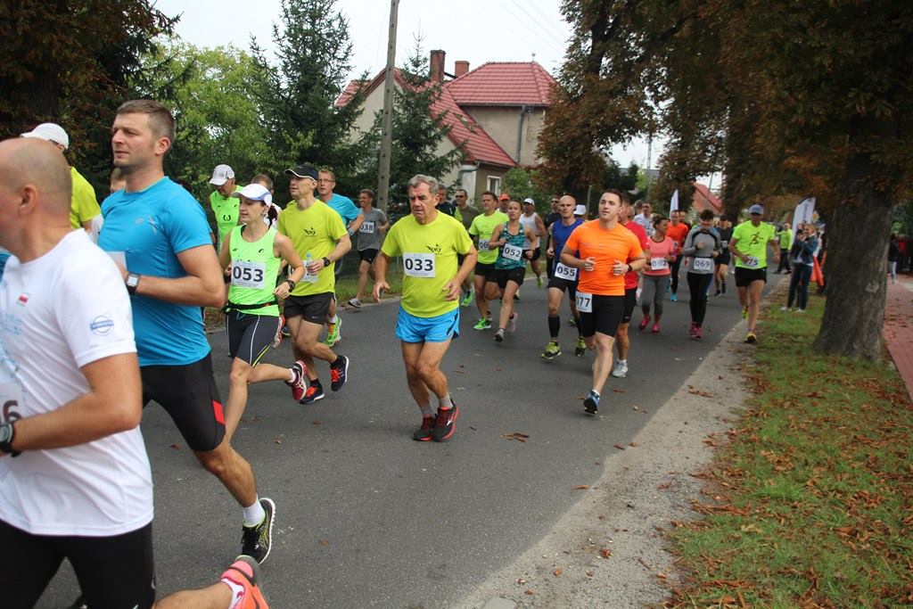 II Bieg W Naturze Nadleśnictwa Wołów z udziałem legniczan