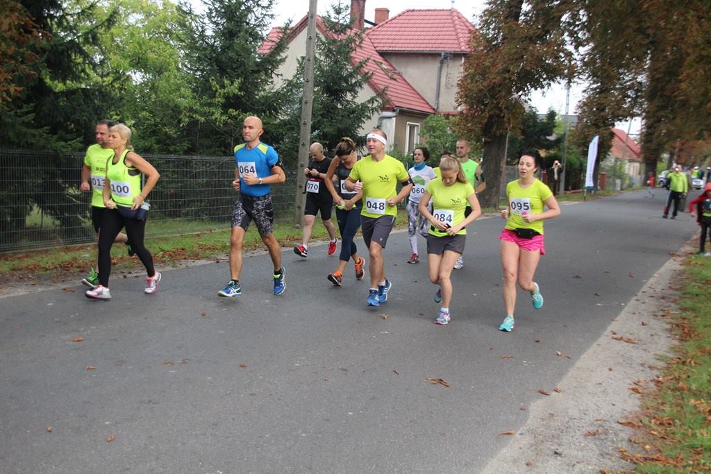 II Bieg W Naturze Nadleśnictwa Wołów z udziałem legniczan