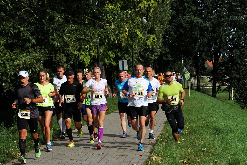 Ponad 400 biegaczy wystartowało w Legnickim Półmaratonie (1)