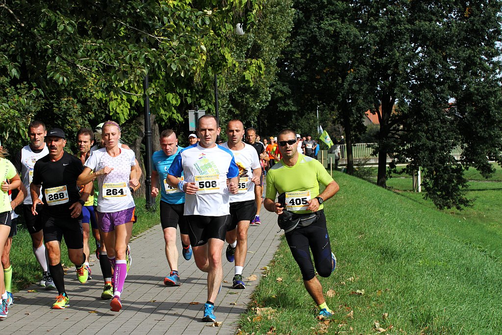 Ponad 400 biegaczy wystartowało w Legnickim Półmaratonie (1)