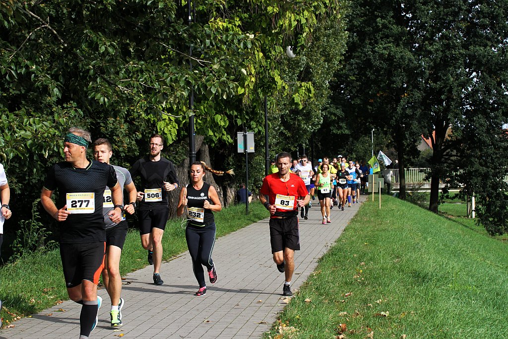 Ponad 400 biegaczy wystartowało w Legnickim Półmaratonie (1)