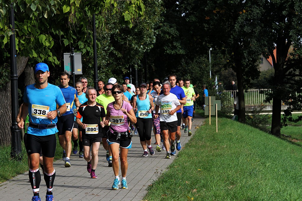 Ponad 400 biegaczy wystartowało w Legnickim Półmaratonie (1)
