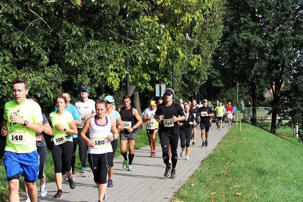 Ponad 400 biegaczy wystartowało w Legnickim Półmaratonie (1)