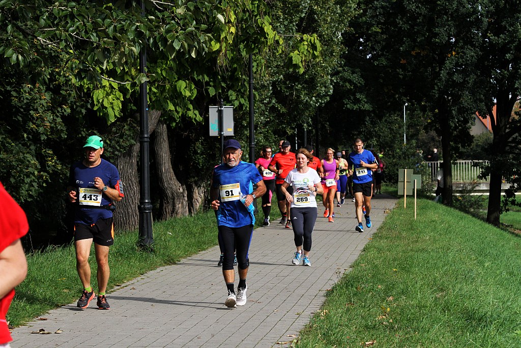 Ponad 400 biegaczy wystartowało w Legnickim Półmaratonie (1)